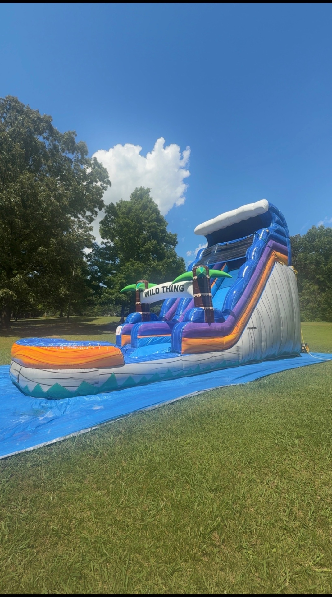 Wild Thing Water Slide inflatable rental